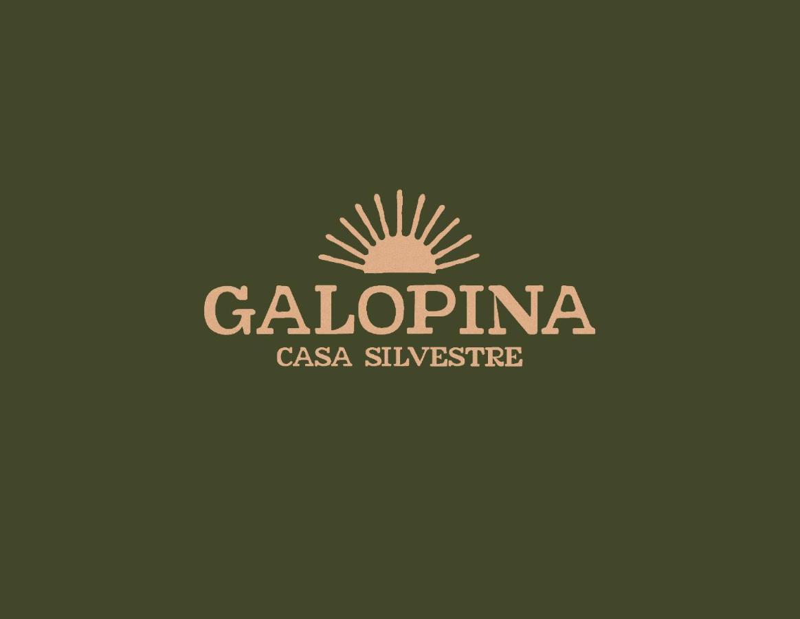Galopina Bed and Breakfast Seye Buitenkant foto